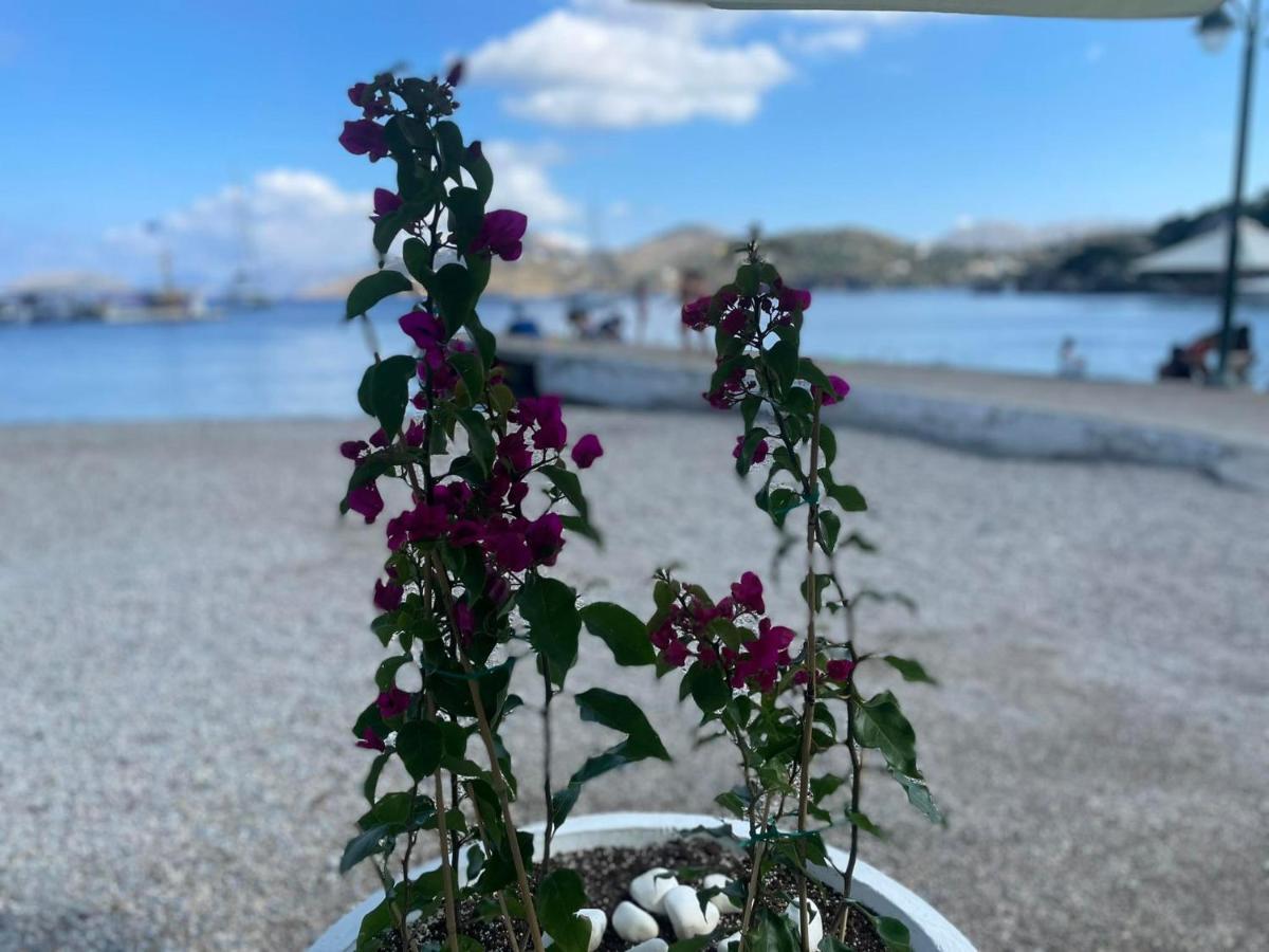 Panteli Ονειρόπετρα Λέρος~Oneiropetra Leros 아파트 외부 사진